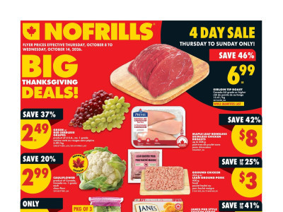No Frills Flyer Thumbnail