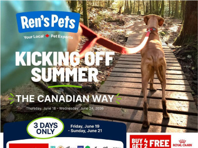 Ren's Pets Depot base Flyer
