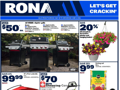 Rona Flyer Thumbnail