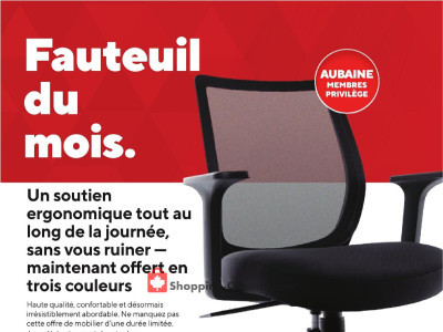 Staples business Flyer