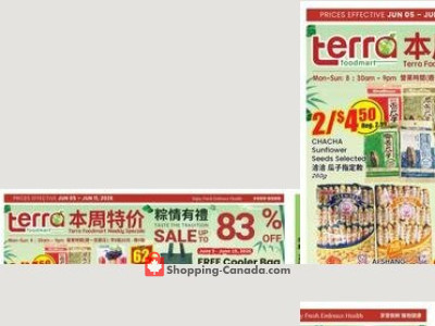 Terra Foodmart Flyer Thumbnail
