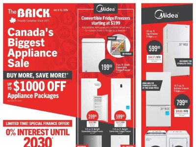 Thumbnail - The Brick ON NAT BMS Flyer