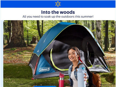 Walmart Flyer Thumbnail