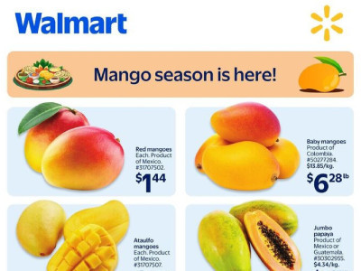 Walmart Flyer Thumbnail