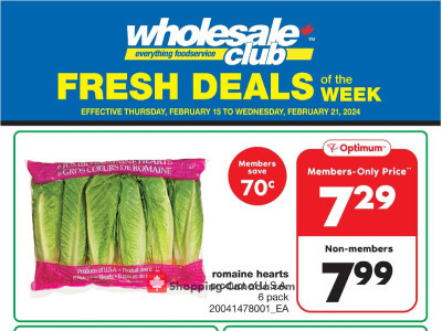 Wholesale Club Outdated Flyer Thumbnail