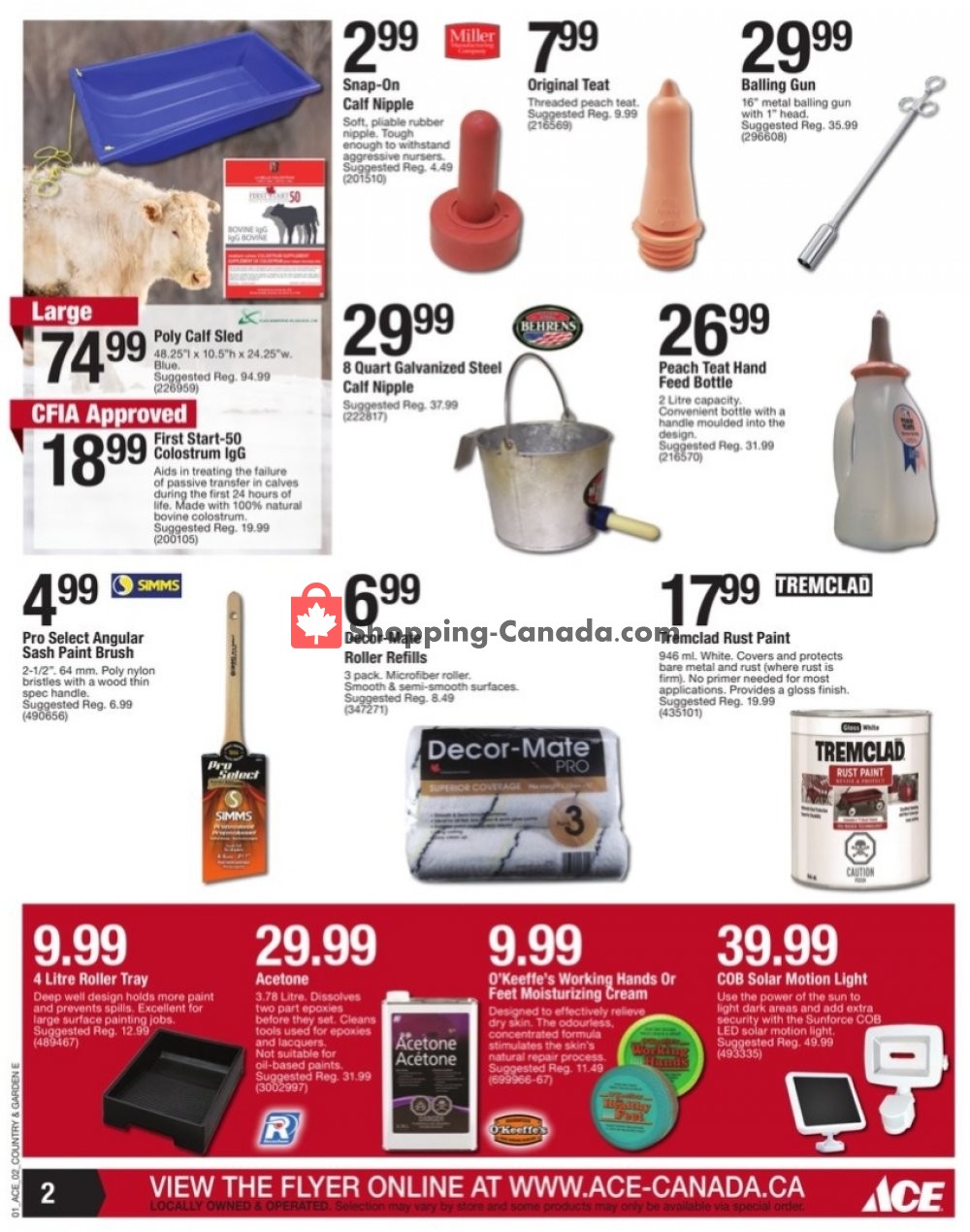 Ace Hardware Canada, flyer (Big Winter Savings) January 15 January