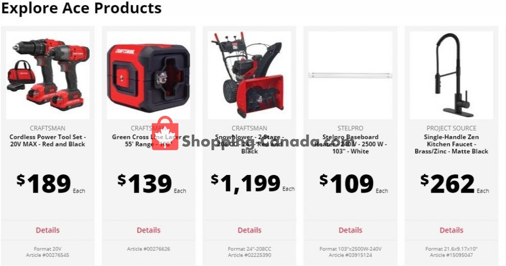 Ace Hardware flyer from Tuesday June 2, 2020 to Monday June 29, 2020 - page 1