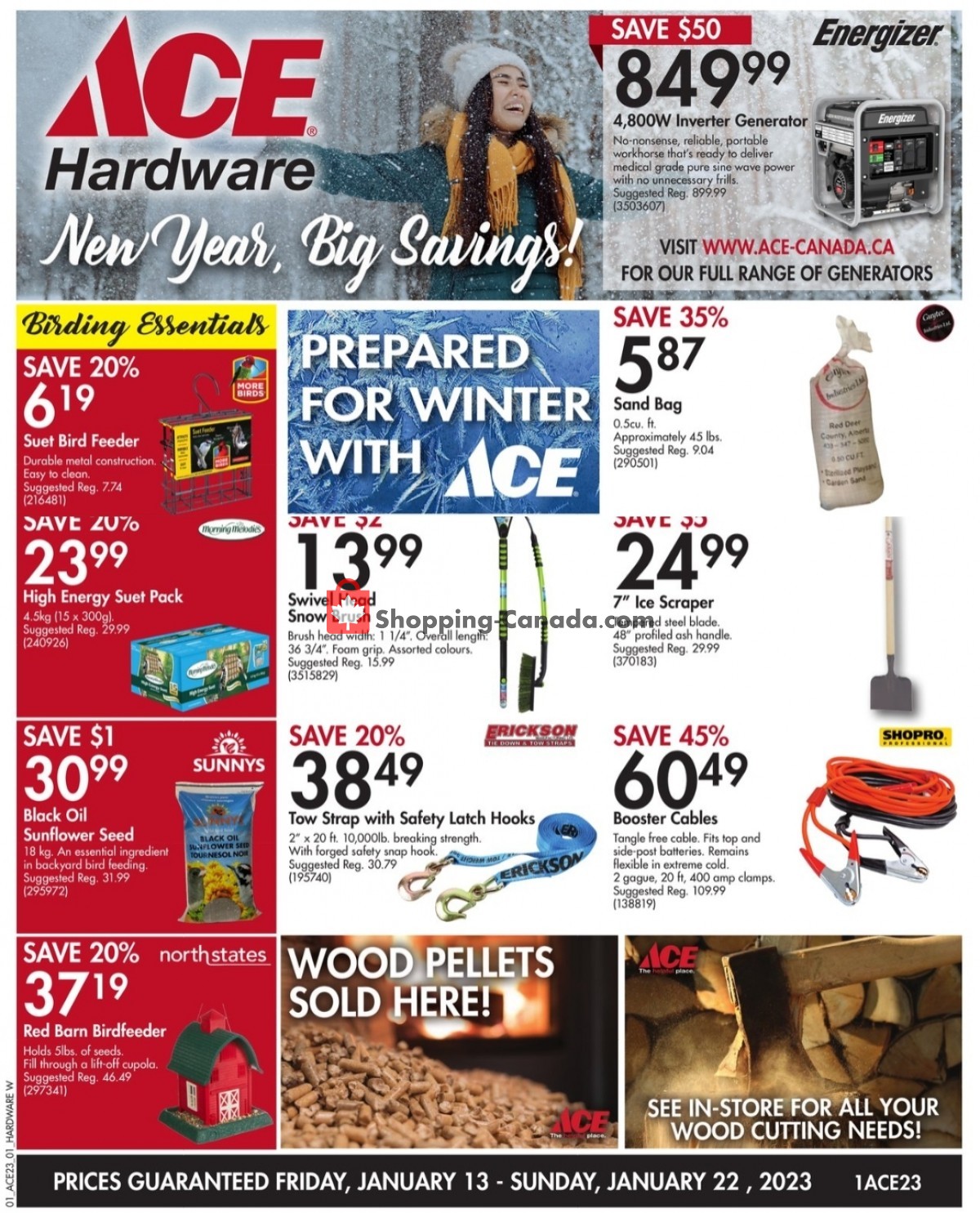 Ace Hardware Canada, flyer (New Year, Big Savings) January 13