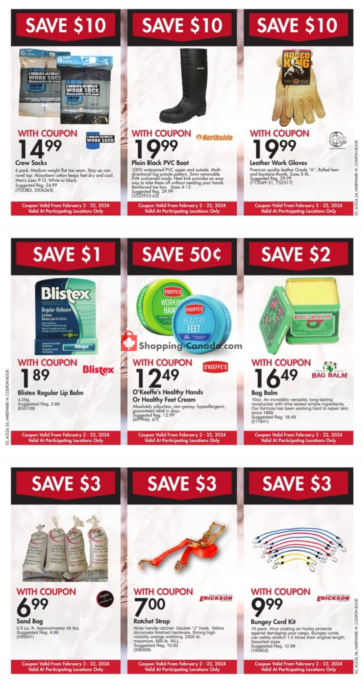 Ace Hardware flyer from Friday February 2, 2024 to Thursday February 22, 2024 - page 2