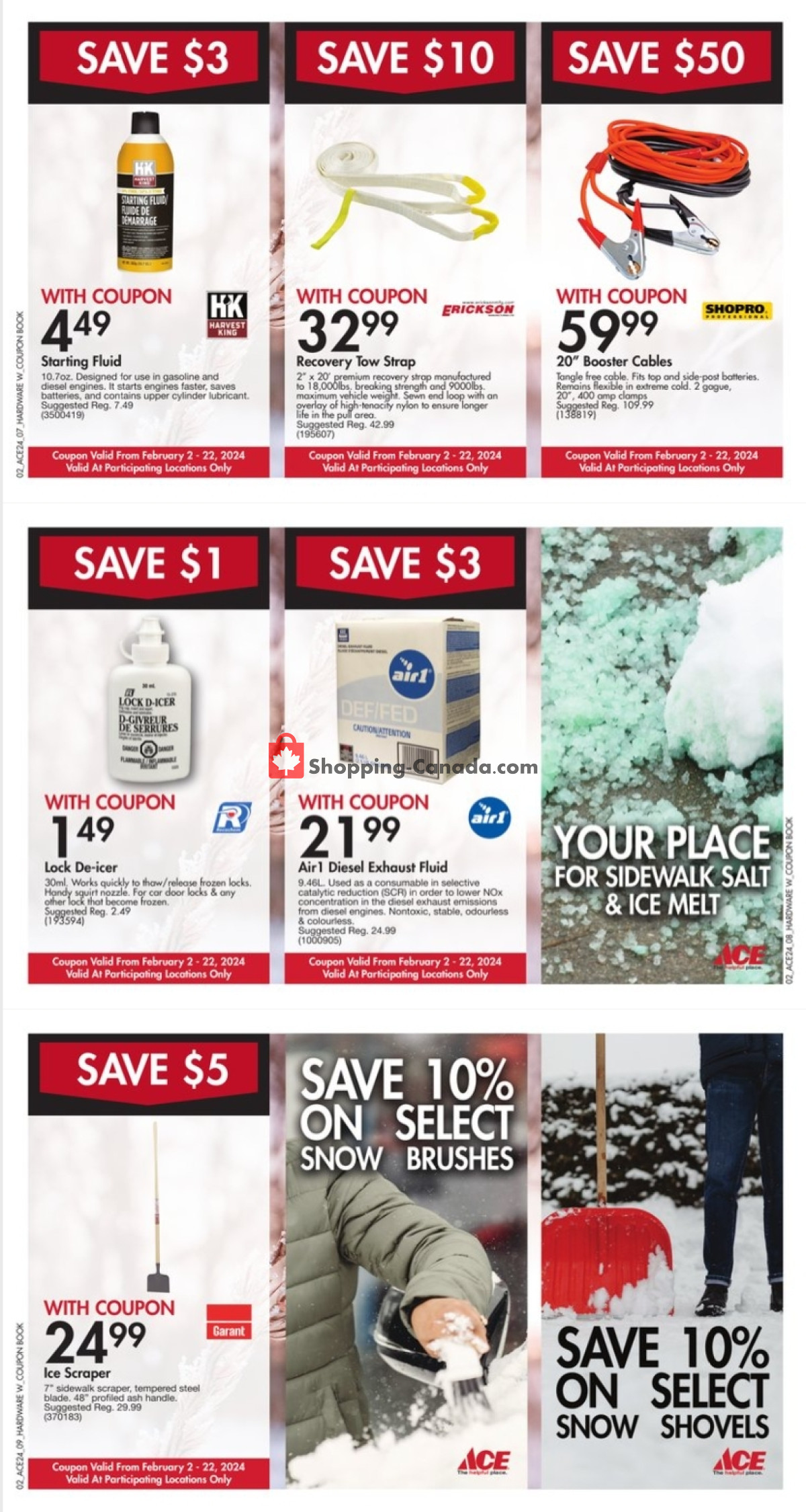 Ace Hardware flyer from Friday February 2, 2024 to Thursday February 22, 2024 - page 3