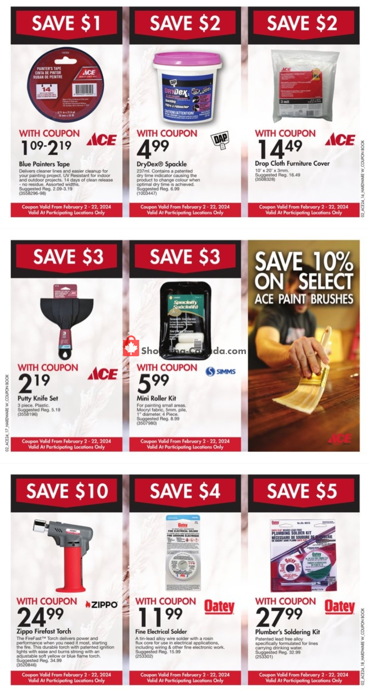 Ace Hardware flyer from Friday February 2, 2024 to Thursday February 22, 2024 - page 6