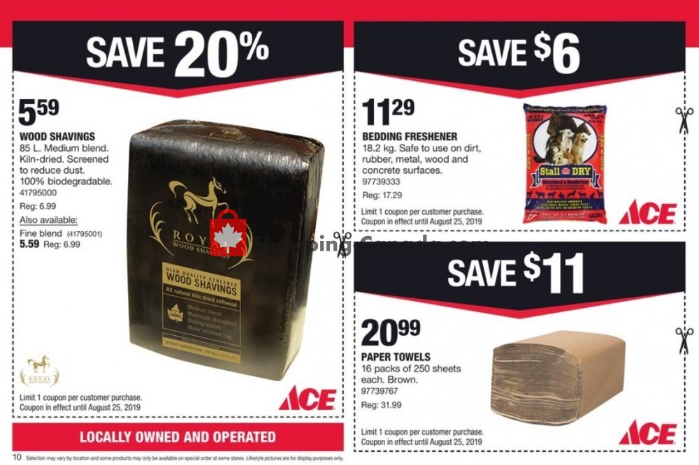 Ace Hardware flyer from Thursday August 1, 2019 to Sunday August 25, 2019 - page 10