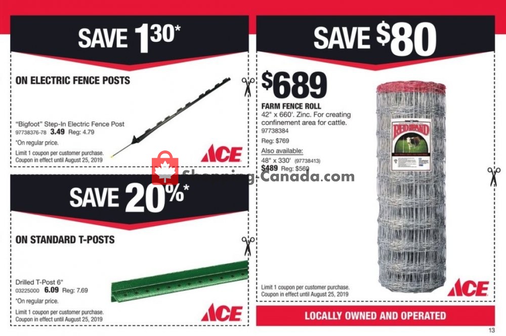 Ace Hardware flyer from Thursday August 1, 2019 to Sunday August 25, 2019 - page 13