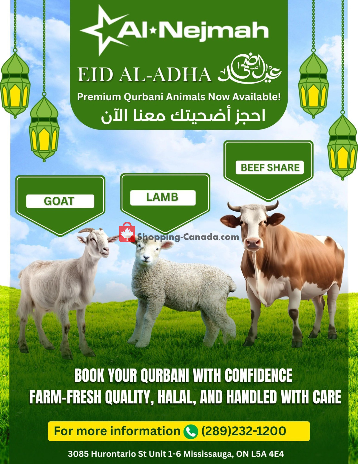 Alnejmah flyer from Friday May 1, 2026 to Thursday May 7, 2026 - page 12
