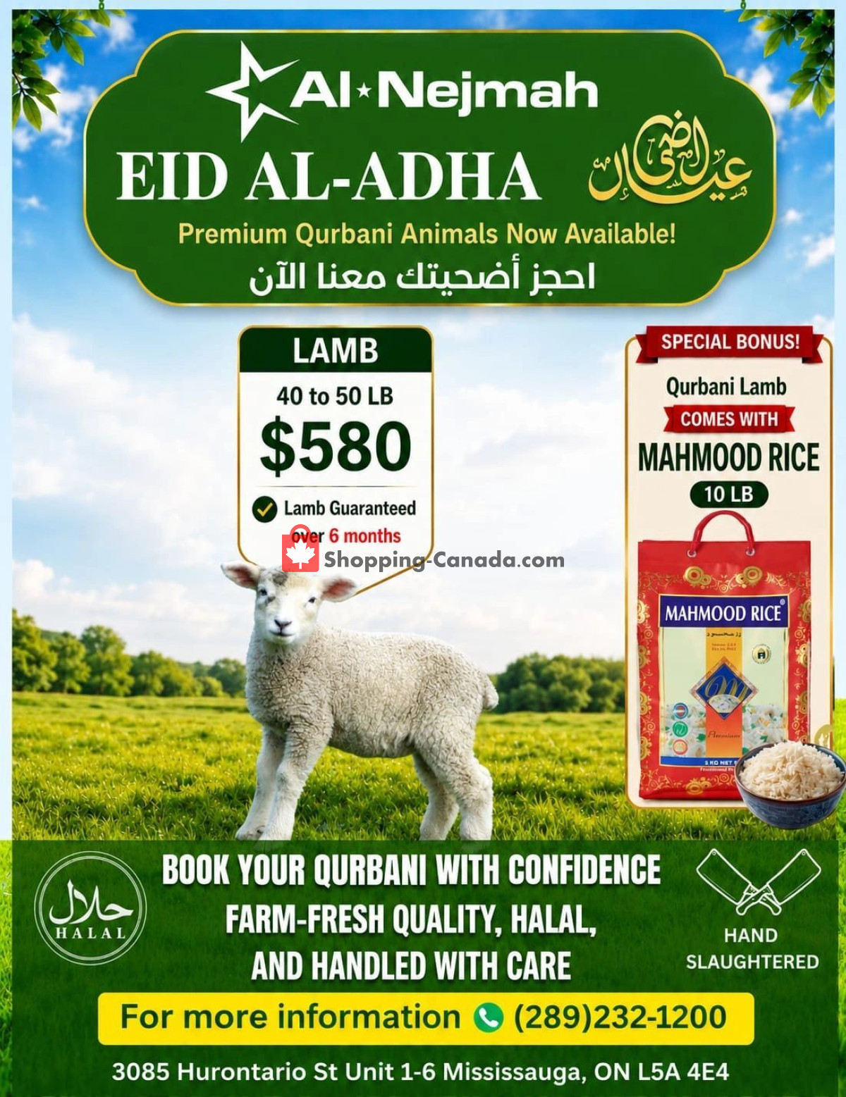 Alnejmah flyer from Friday May 22, 2026 to Thursday May 28, 2026 - page 13