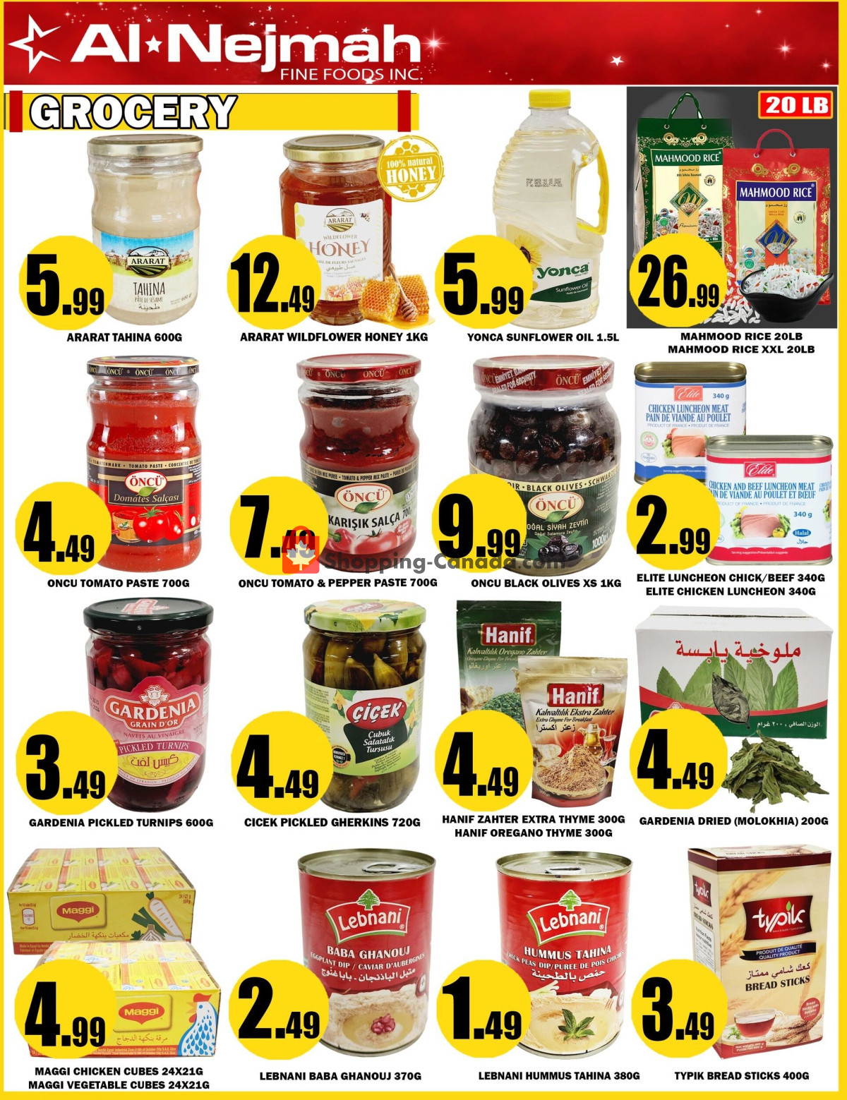 Alnejmah flyer from Friday April 19, 2024 to Thursday April 25, 2024 - page 5