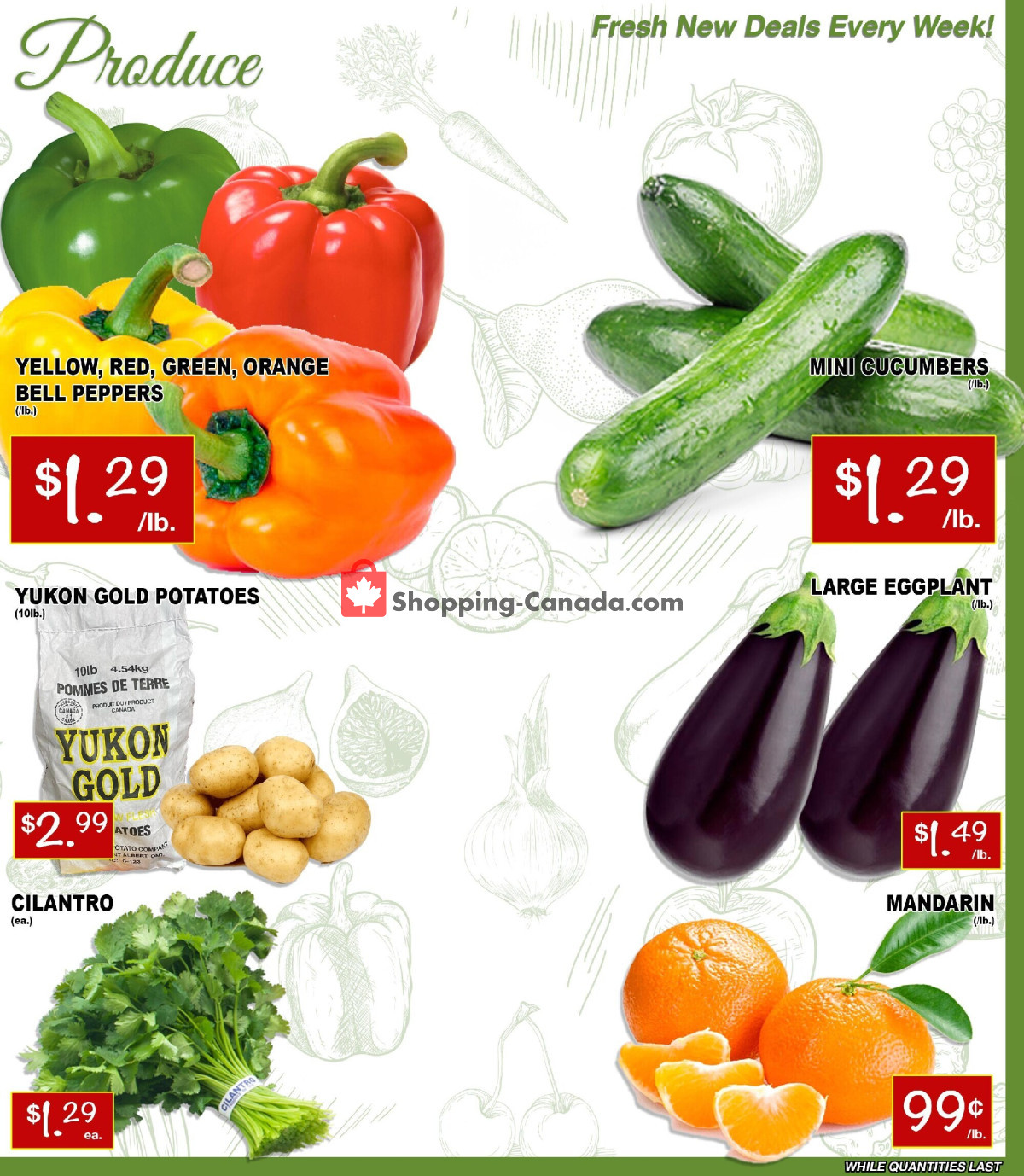 Ammar's Halal Meats flyer from Thursday April 18, 2024 to Wednesday April 24, 2024 - page 2