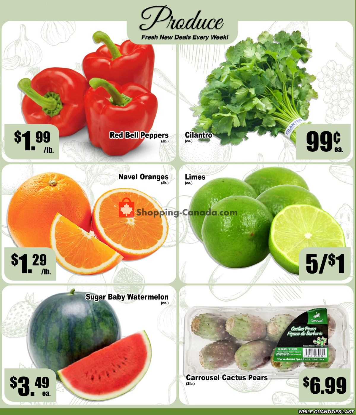 Ammar's Halal Meats flyer from Tuesday August 11, 2026 to Wednesday August 19, 2026 - page 2