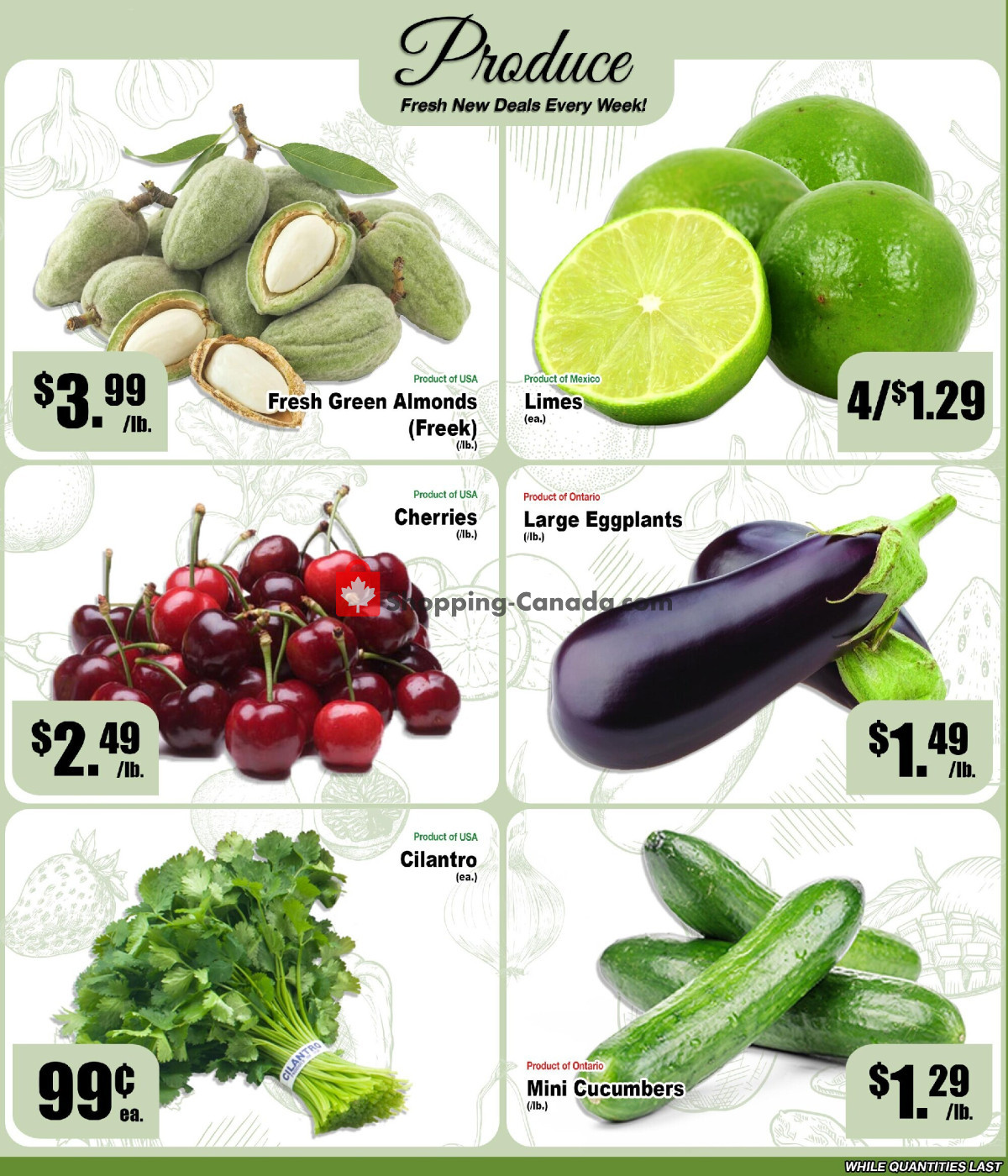 Ammar's Halal Meats flyer from Thursday June 25, 2026 to Wednesday July 8, 2026 - page 2
