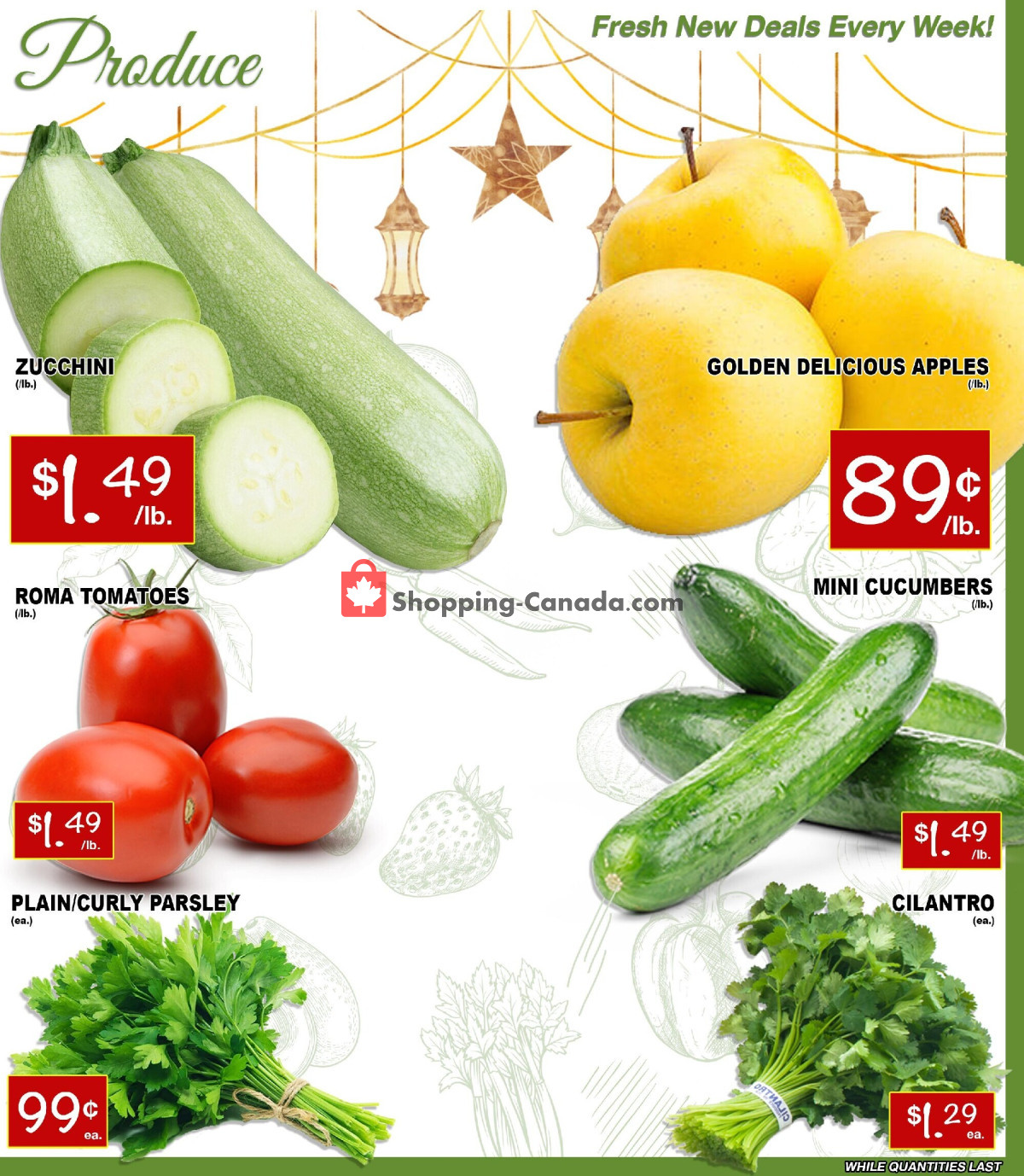 Ammar's Halal Meats flyer from Thursday March 21, 2024 to Wednesday March 27, 2024 - page 2