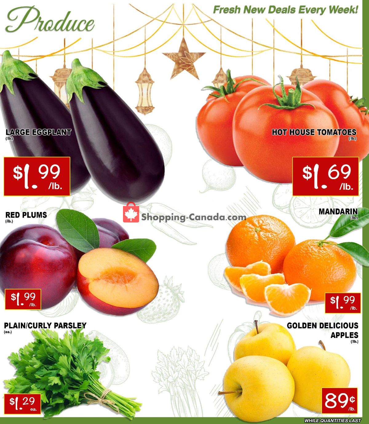 Ammar's Halal Meats flyer from Thursday March 28, 2024 to Wednesday April 3, 2024 - page 2