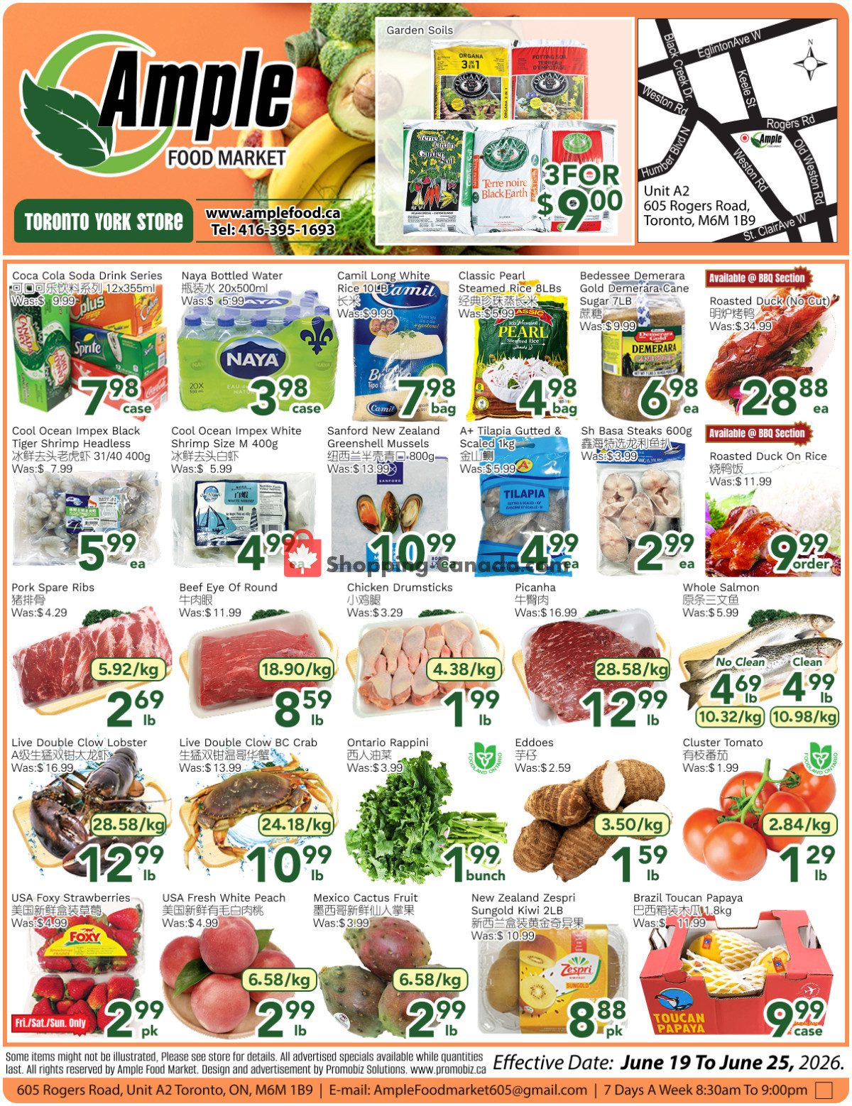 Ample Food Market flyer from Friday June 19, 2026 to Thursday June 25, 2026 - page 1
