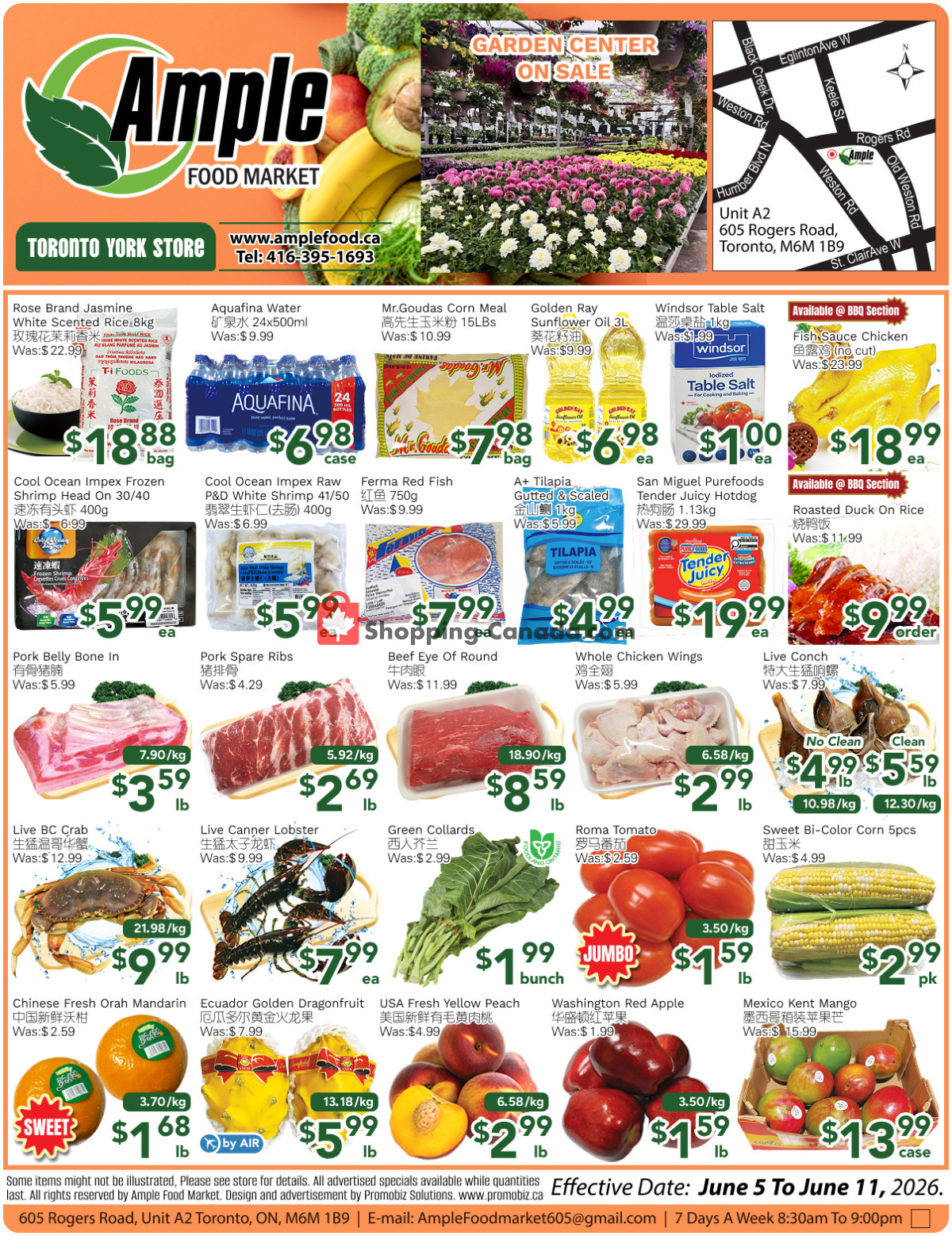 Ample Food Market flyer from Friday June 5, 2026 to Thursday June 11, 2026 - page 1