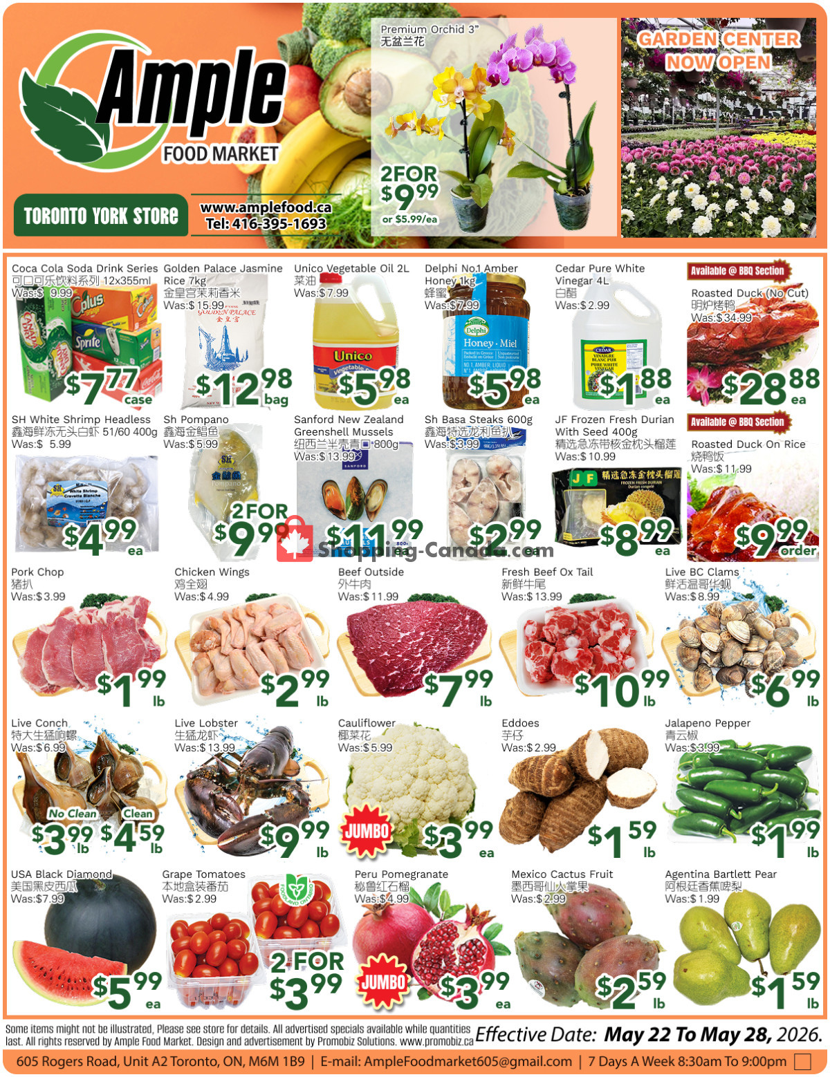 Ample Food Market flyer from Friday May 22, 2026 to Thursday May 28, 2026 - page 1