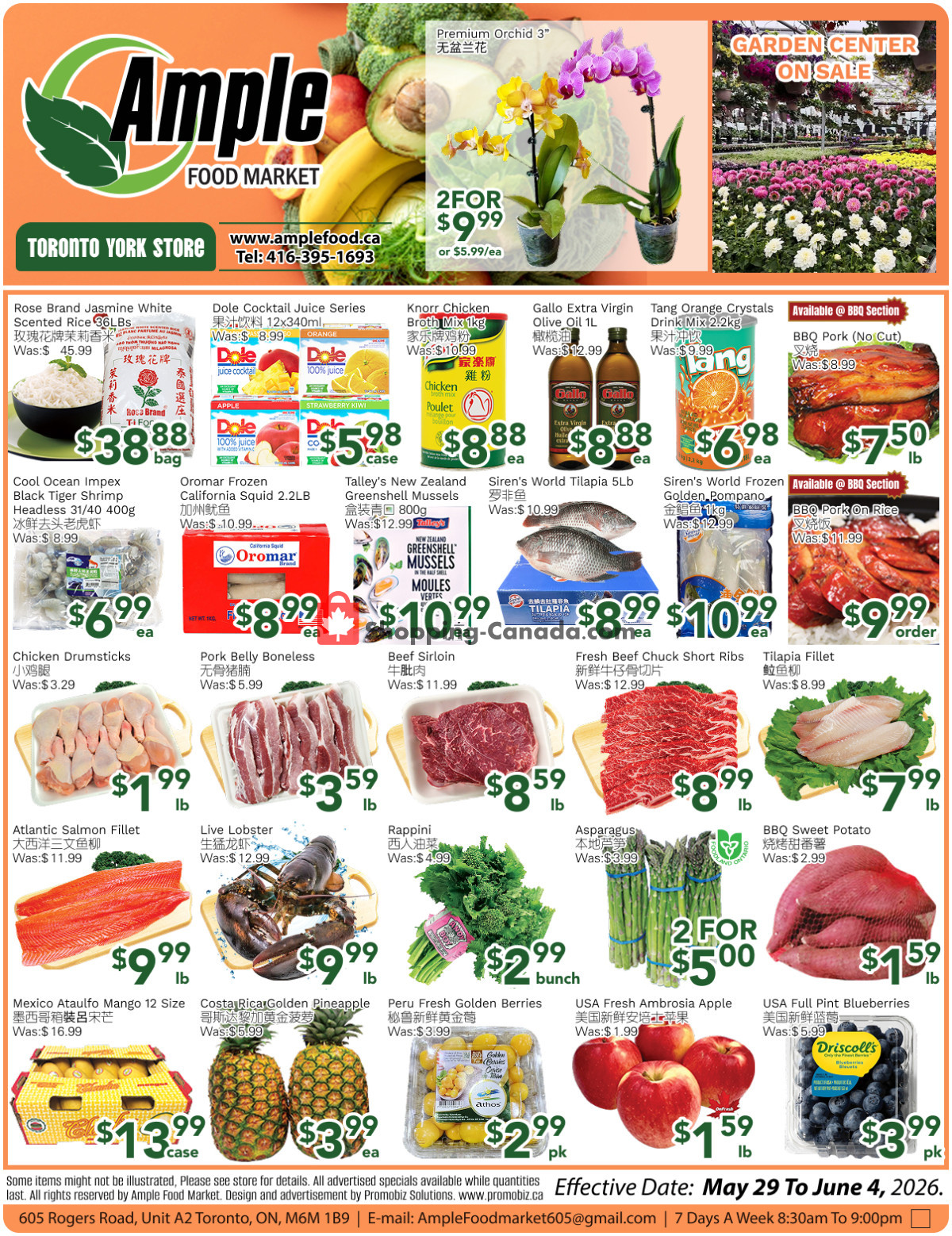 Ample Food Market flyer from Friday May 29, 2026 to Thursday June 4, 2026 - page 1