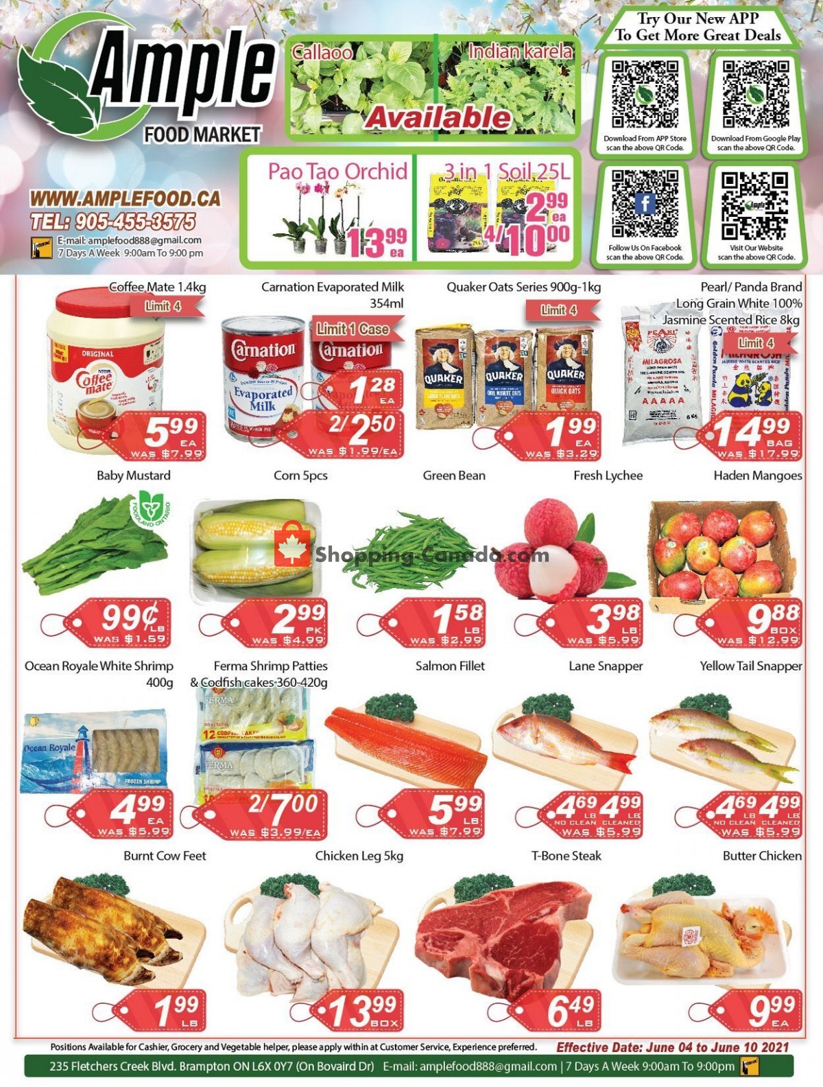 Ample Food Market flyer from Friday June 4, 2021 to Thursday June 10, 2021 - page 1