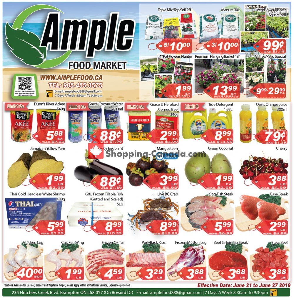 Ample Food Market flyer from Friday June 21, 2019 to Thursday June 27, 2019 - page 1