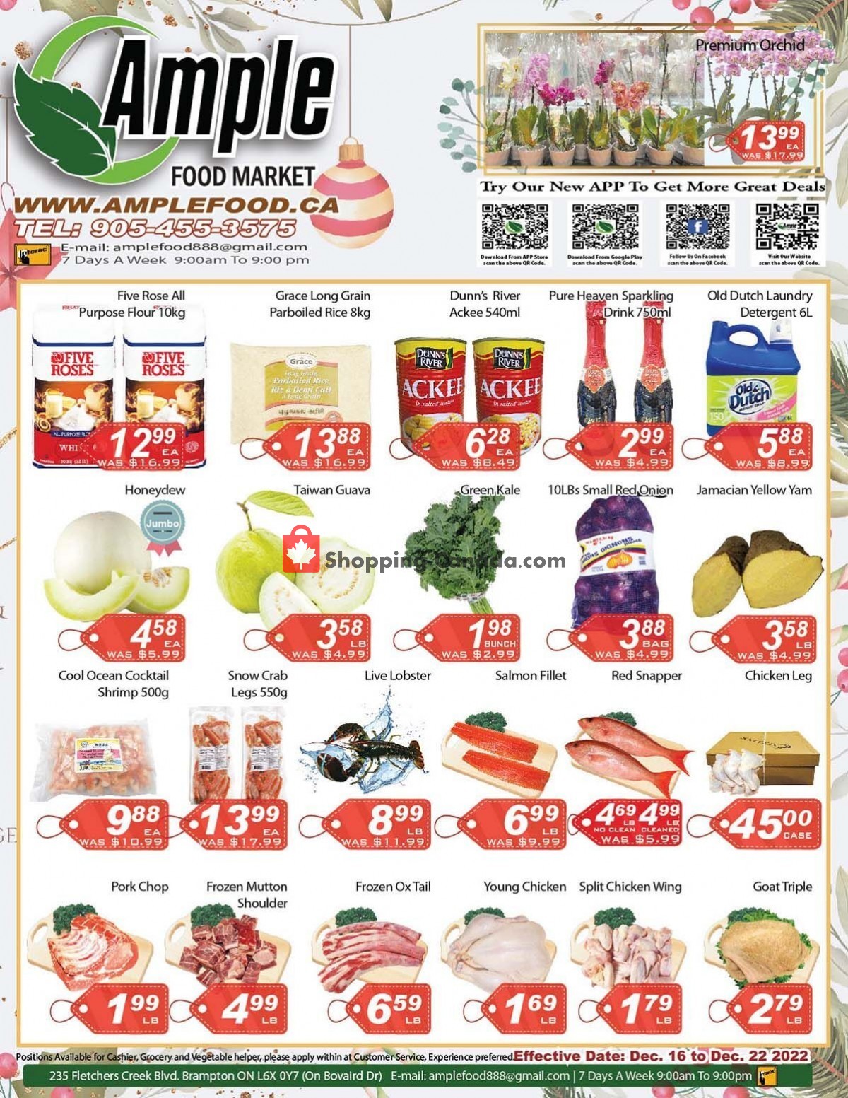 Ample Food Market Canada, flyer (Weekly Special Brampton Store