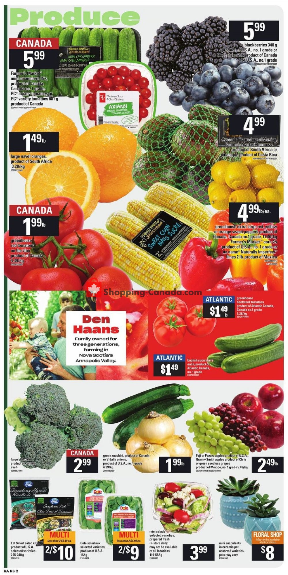 Atlantic Superstore flyer from Thursday July 11, 2019 to Wednesday July 17, 2019 - page 2