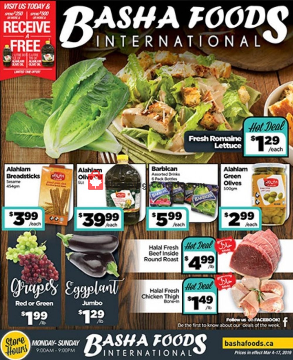 Basha Foods International flyer from Monday March 4, 2019 to Sunday March 17, 2019 - page 1