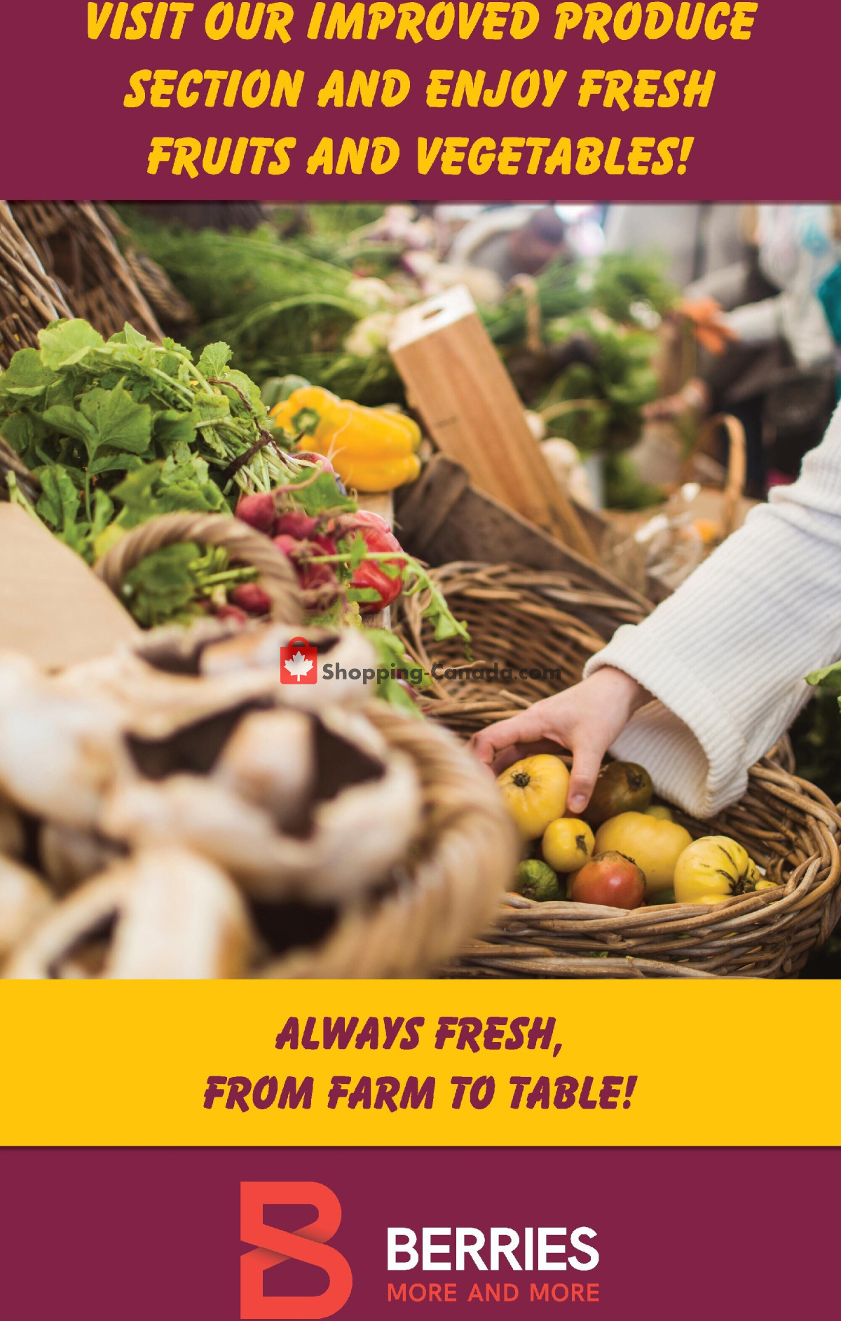 Berries Market flyer from Thursday February 22, 2024 to Wednesday February 28, 2024 - page 3