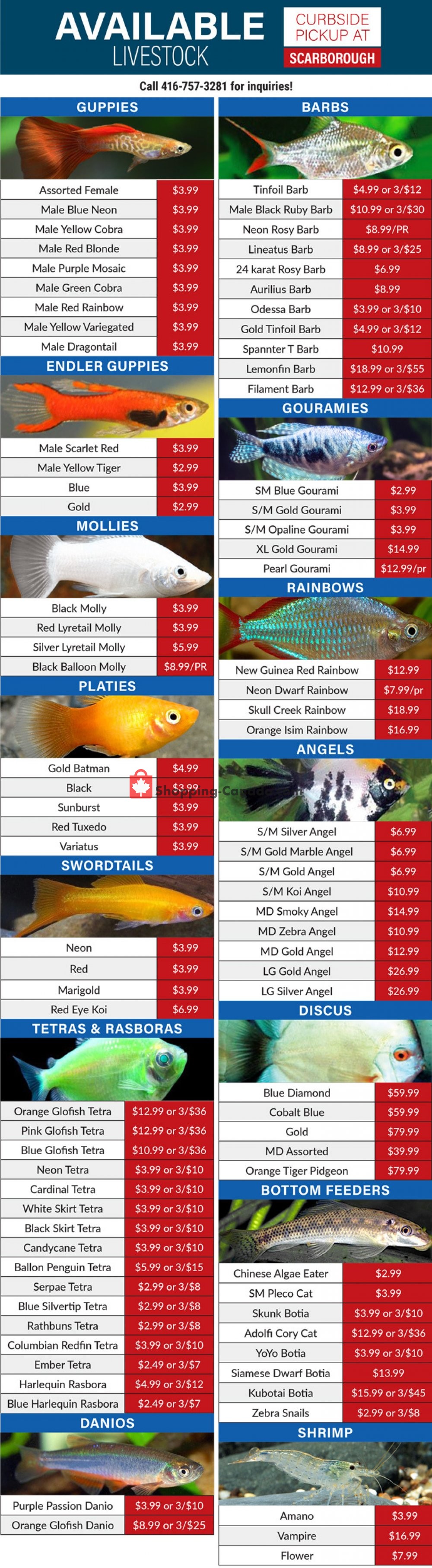 Big Al's flyer from Wednesday April 22, 2020 to Friday May 29, 2020 - page 1
