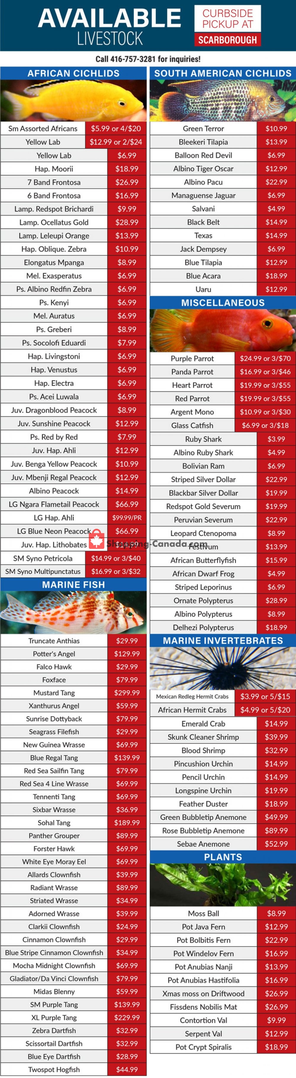 Big Al's flyer from Wednesday April 22, 2020 to Friday May 29, 2020 - page 3