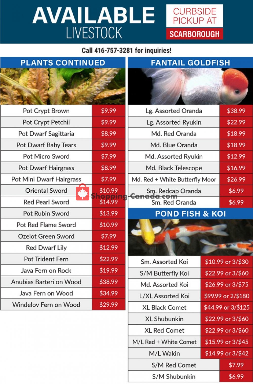 Big Al's flyer from Wednesday April 22, 2020 to Friday May 29, 2020 - page 5