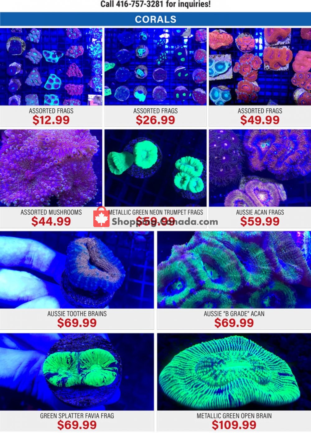 Big Al's flyer from Wednesday April 22, 2020 to Friday May 29, 2020 - page 7