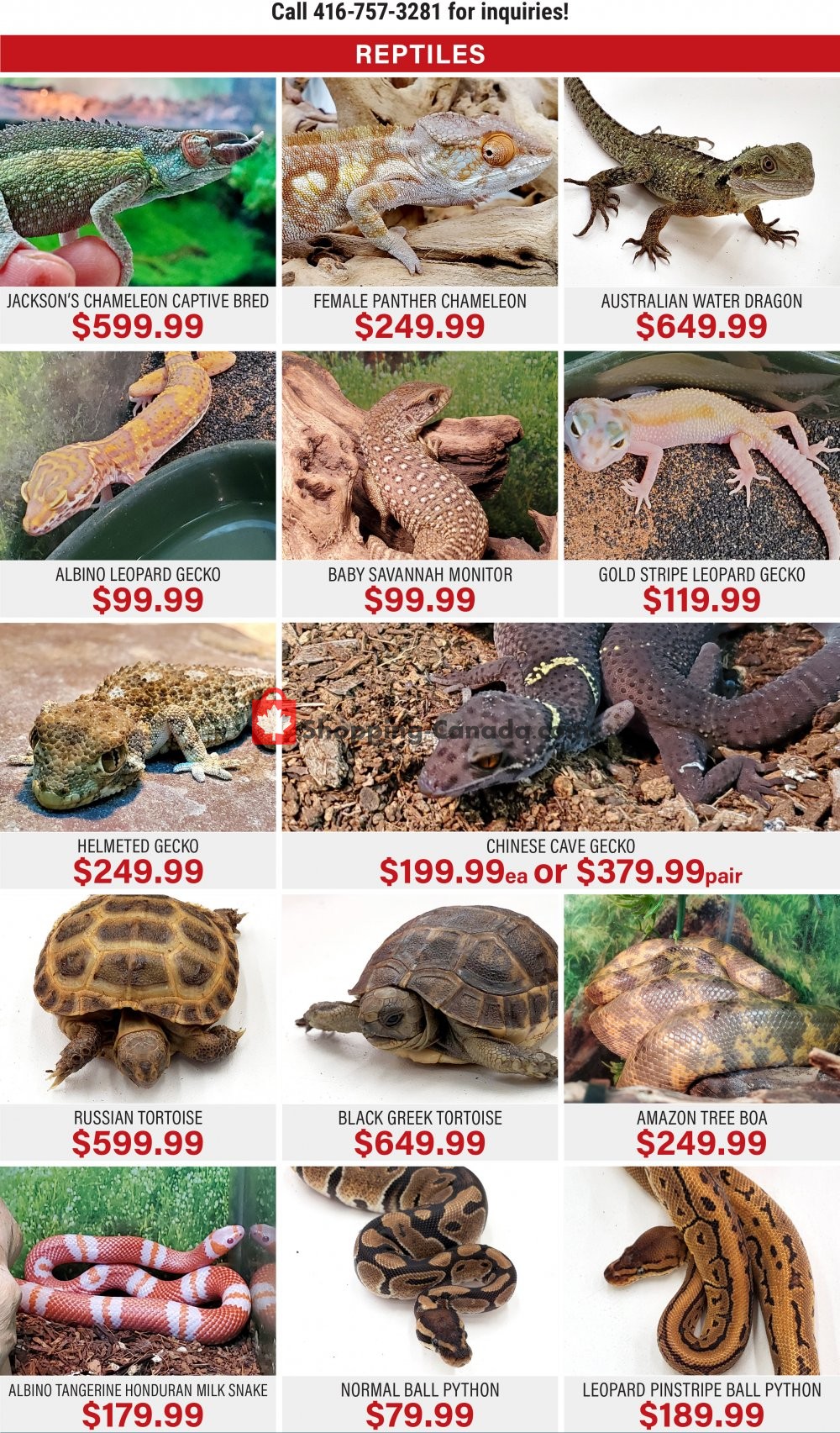 Big Al's flyer from Wednesday April 22, 2020 to Friday May 29, 2020 - page 11