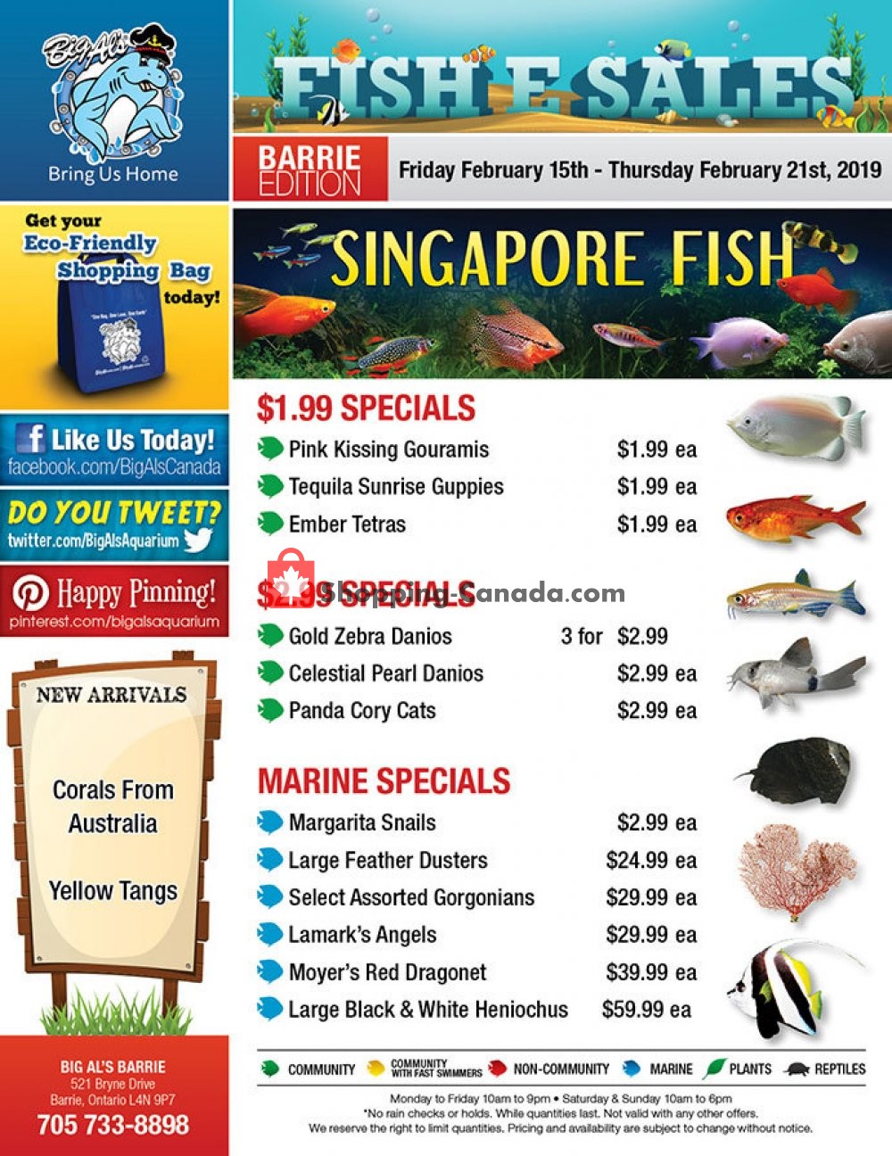 Big Al's flyer from Friday February 15, 2019 to Thursday February 21, 2019 - page 1