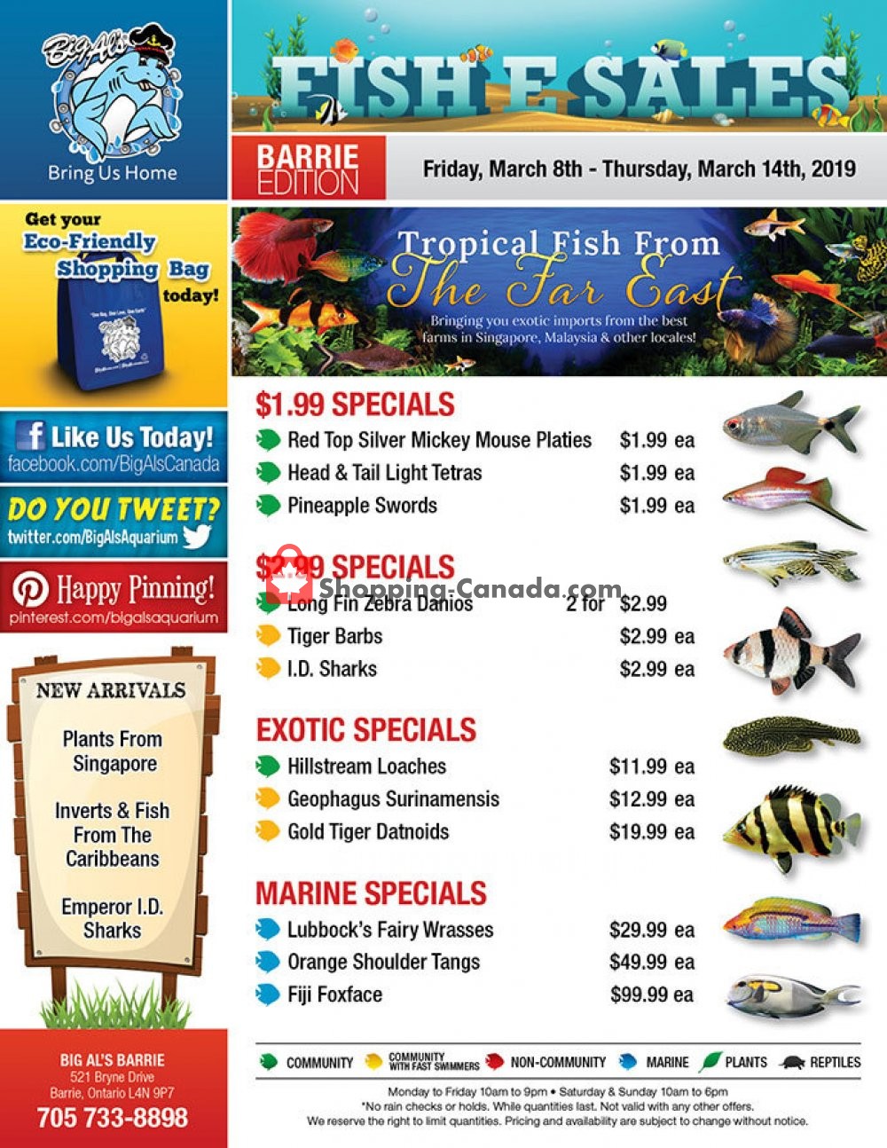 Big Al's flyer from Friday March 8, 2019 to Thursday March 14, 2019 - page 1