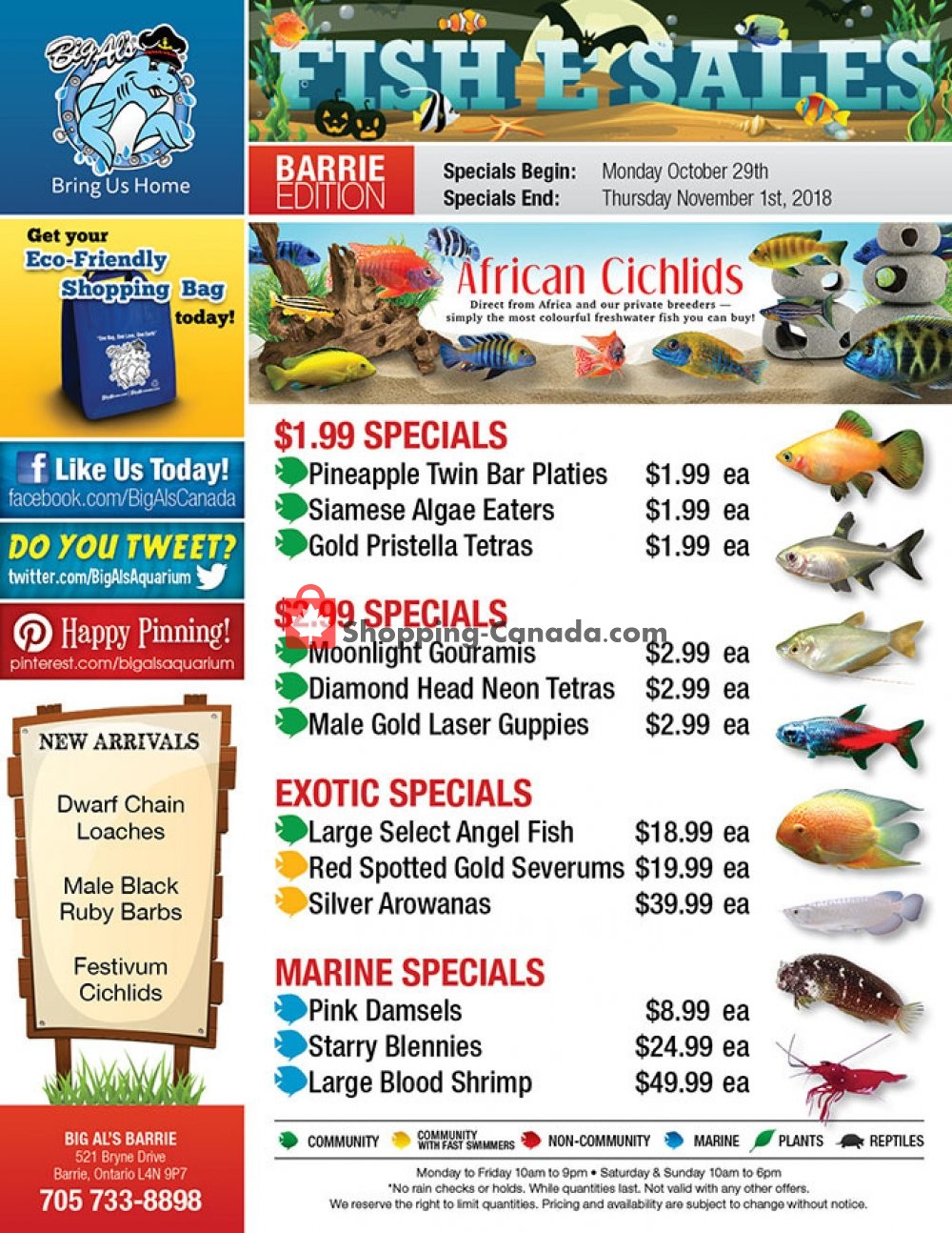 Big Al's flyer from Monday October 29, 2018 to Thursday November 1, 2018 - page 1