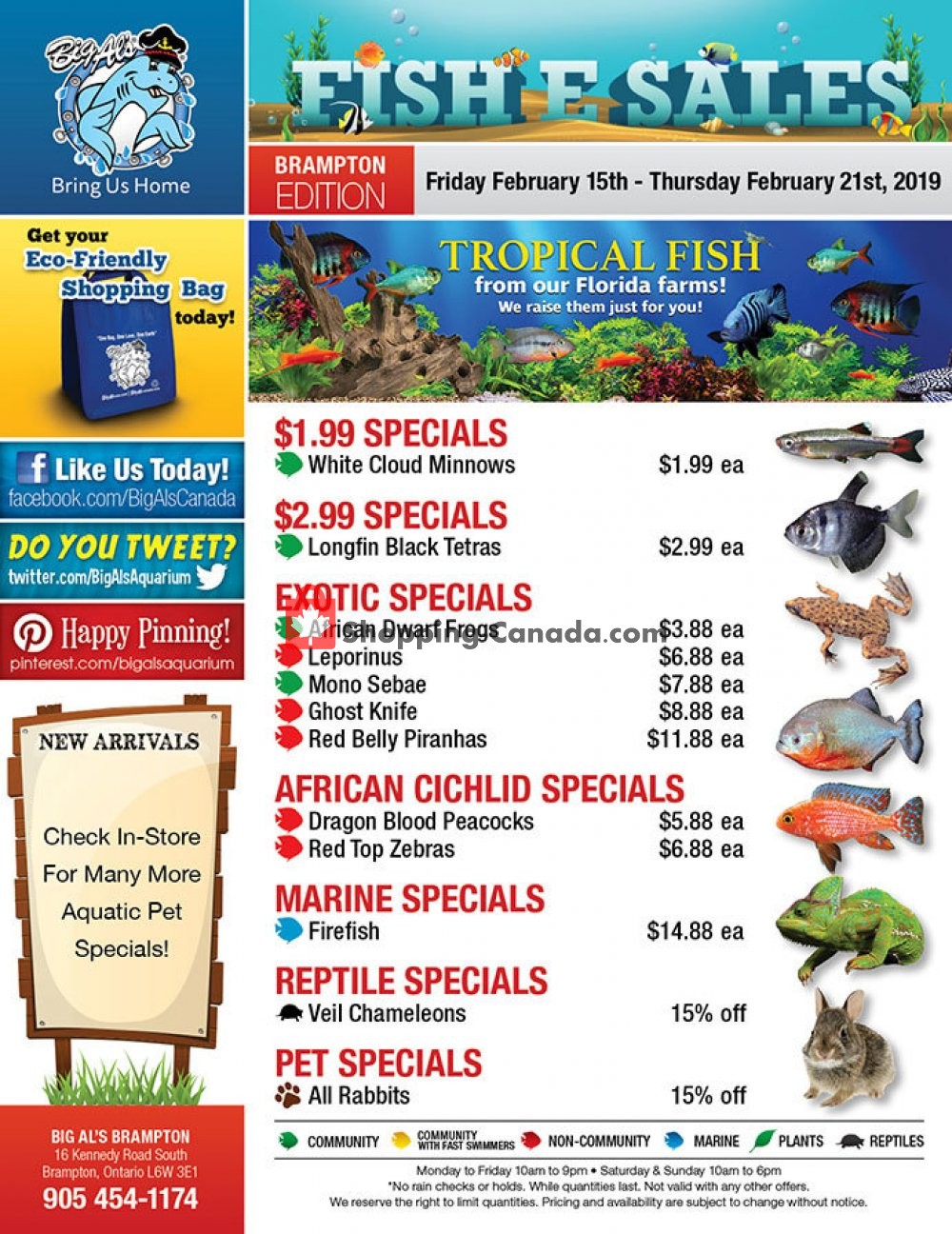 Big Al's flyer from Friday February 15, 2019 to Thursday February 21, 2019 - page 1