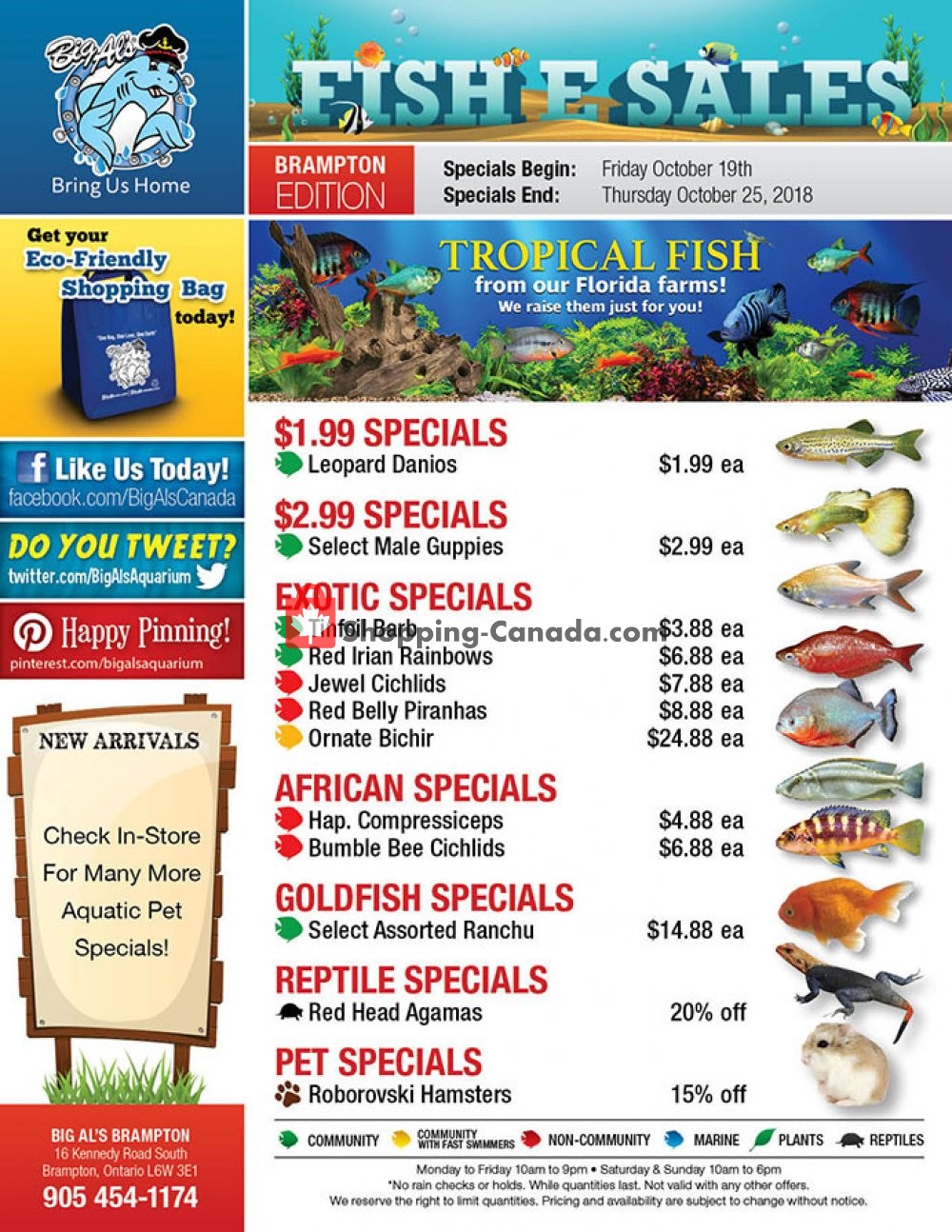 Big Al's flyer from Friday October 19, 2018 to Thursday October 25, 2018 - page 1