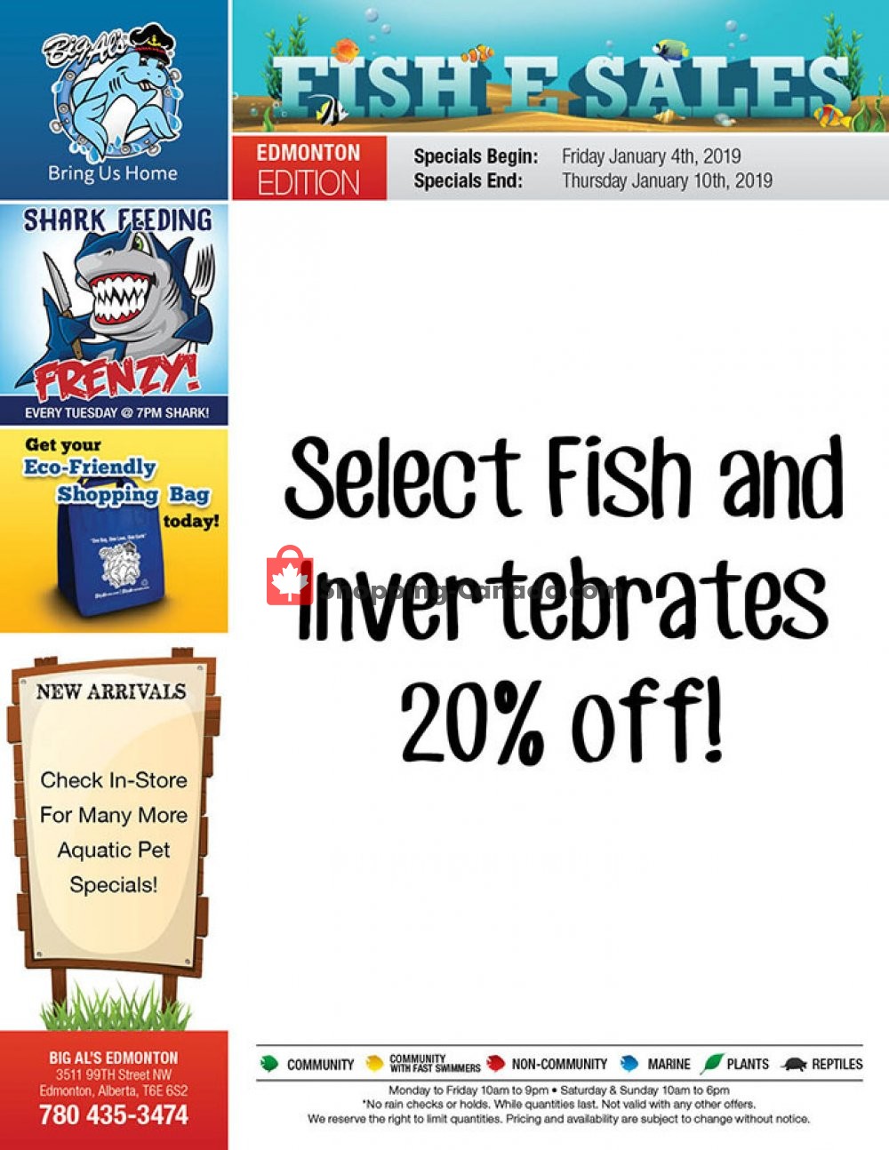 Big Al's flyer from Friday January 4, 2019 to Thursday January 10, 2019 - page 1