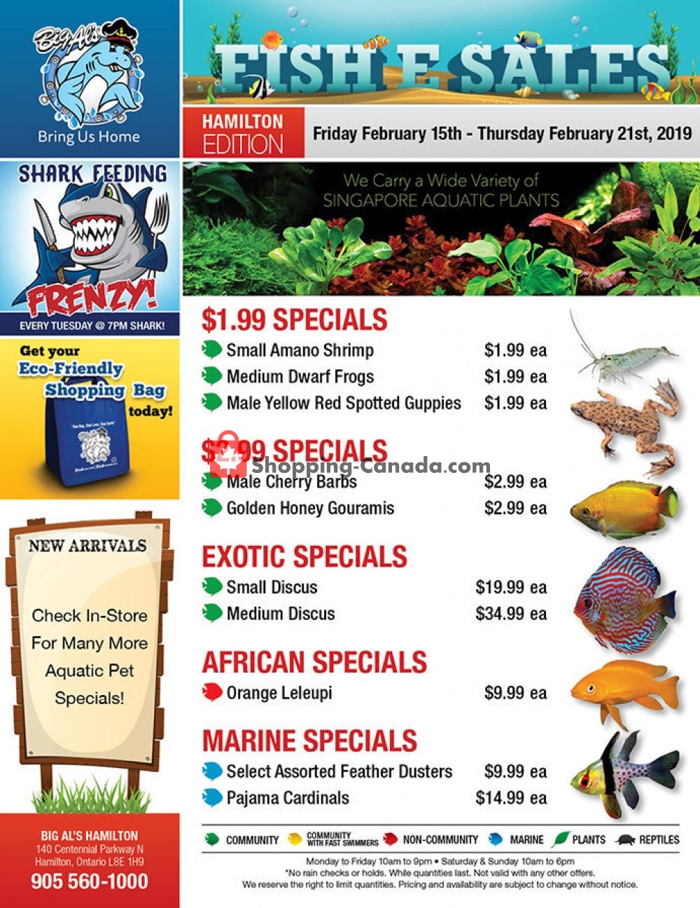 Big Al's flyer from Friday February 15, 2019 to Thursday February 21, 2019 - page 1