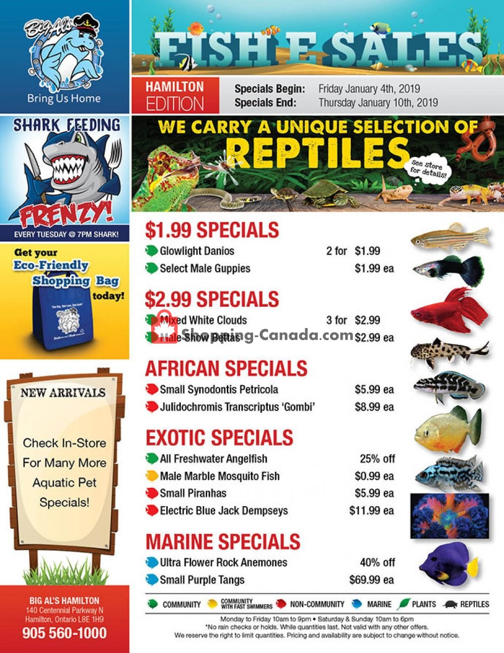 Big Al's flyer from Friday January 4, 2019 to Thursday January 10, 2019 - page 1