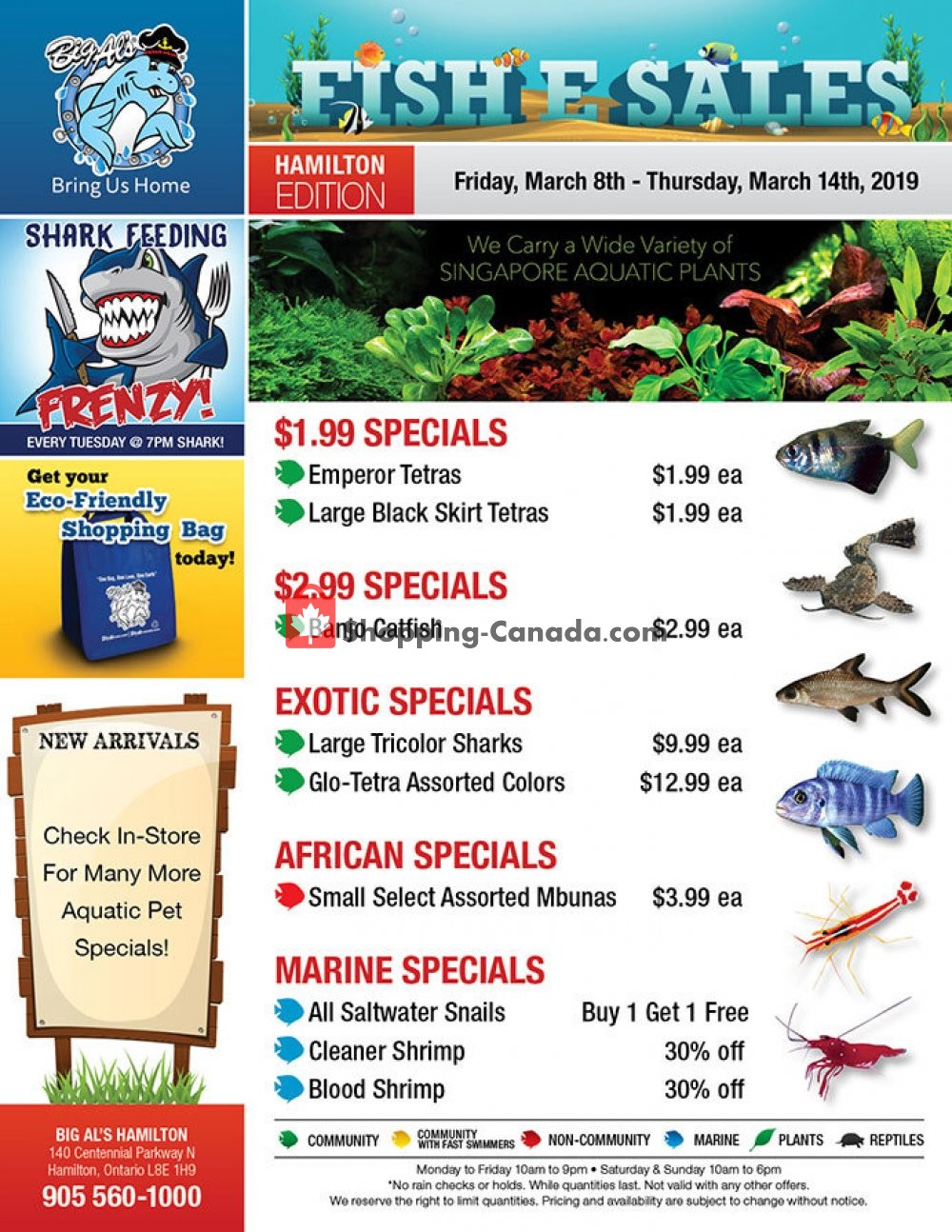 Big Al's flyer from Friday March 8, 2019 to Thursday March 14, 2019 - page 1