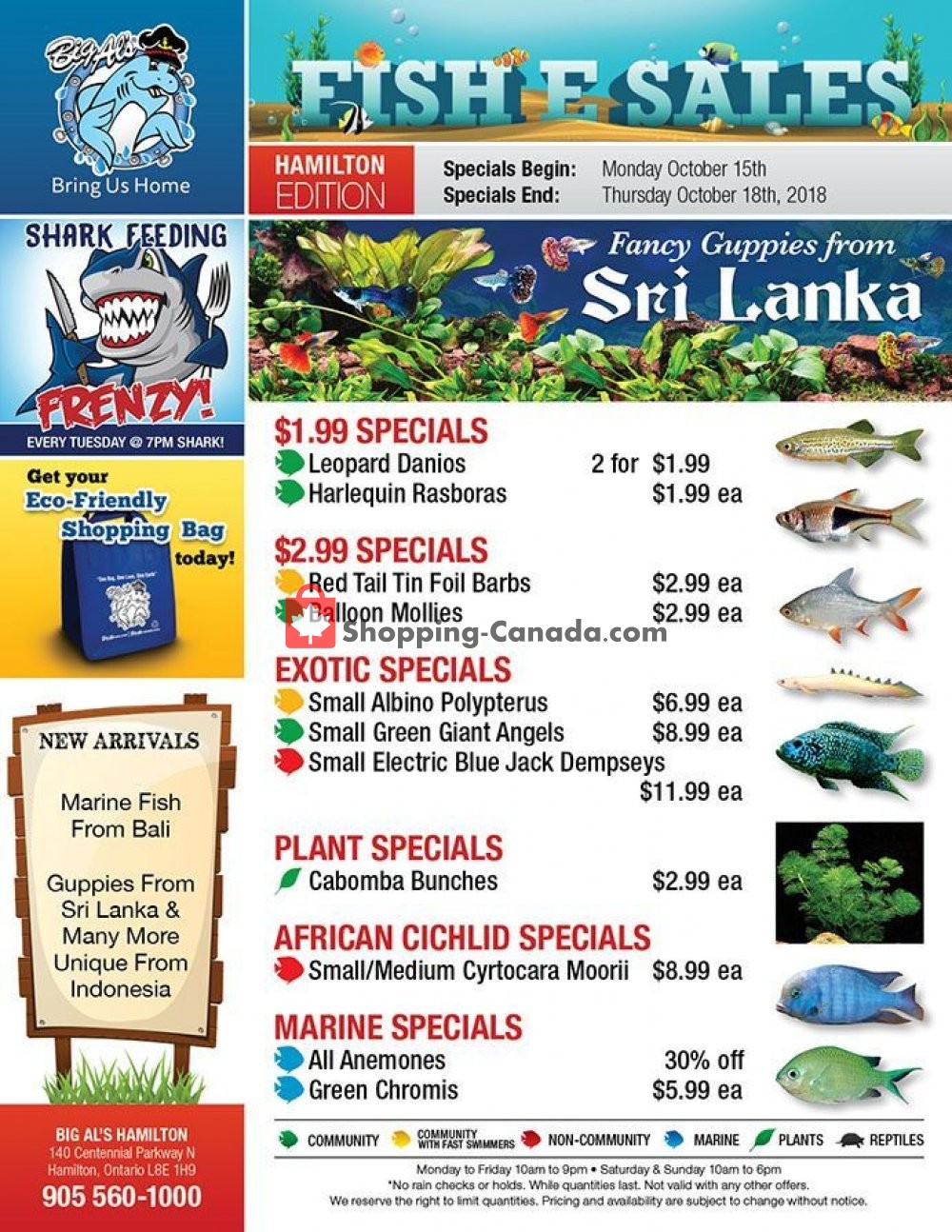 Big Al's flyer from Monday October 15, 2018 to Thursday October 18, 2018 - page 1